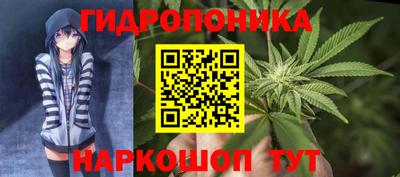 PSILOCYBIN Гусев