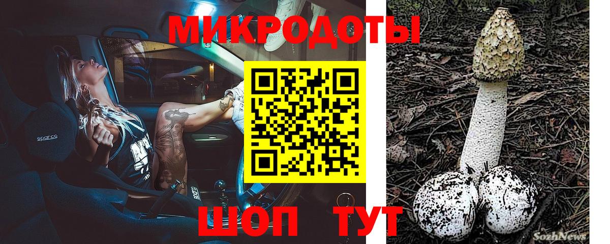 Псилоцибиновые грибы мухоморы Лесозаводск