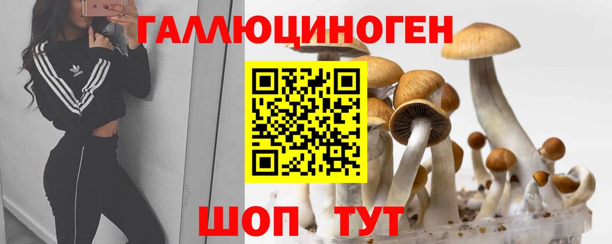 Лесозаводск  Галлюциногенные грибы Psilocybine cubensis  Вход с VPN 